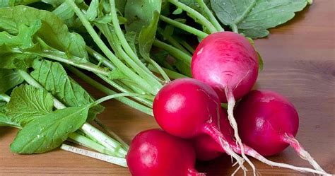 Cancer is one health concern that most of us try to avoid thinking about. Radish Uses Health Benefits Side Effects | Myhealthdosage ...