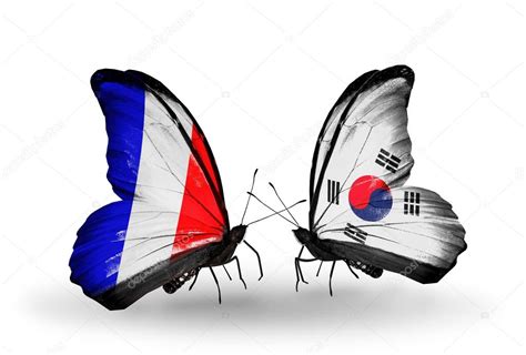 주부들의 육체 비밀 (2021) 영화 다시보기. 2 나비 날개에 플래그와 관계의 상징으로 프랑스와 한국 — 스톡 ...