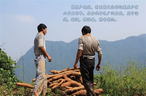 The site owner hides the web page description. 葛根茶粉 - 信阳特产类 - 信阳茗山茗水实业有限公司