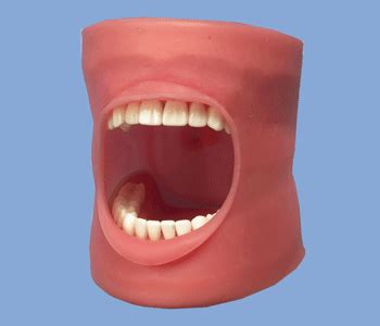 Luckily, dental implants are a treatment option that can give you a natural smile. Dental Oral Cavity Cover- Drainage Chair | Mount - Buyamag INC