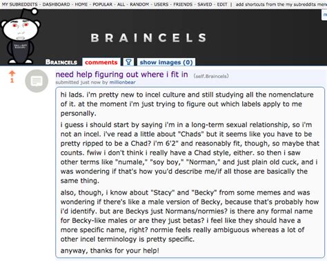 The incel wiki is a comprehensive collection of knowledge on incels, including terminology, memes, and research. Incels Don't Have a Name for Guys Like Me - MEL Magazine ...