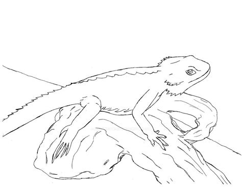 You and your child can even enjoy a fun fact while you color. Leopard Gecko Drawing at GetDrawings.com | Free for ...