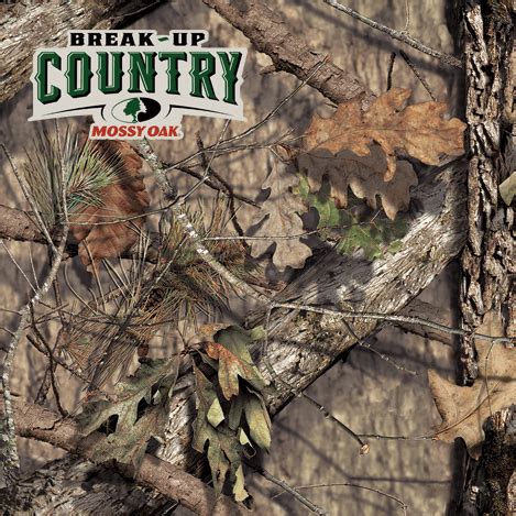 Completely redesigned cam system creates an incredibly smooth draw cycle and a solid back wall gives this bow yet another edge over the. Diamond Archery Infinite Edge Pro Compound Bow Package ...
