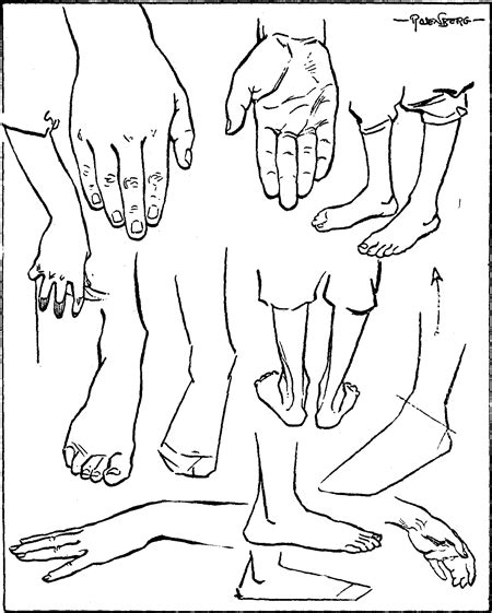 This tutorial has a huge number of examples for you to learn from. Drawing Hands and Feet with the Following Lessons & Tutorials