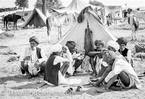 But no sooner had he said it than he saw his back, that he was. Pushkar is calling again || International Camel Fair in ...