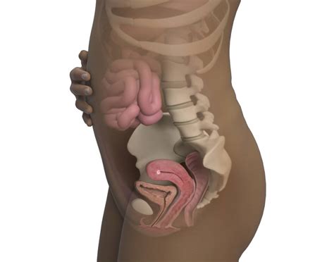 Être enceinte provoque chez chacune d'entre nous un chamboulement du métabolisme, notamment au niveau hormonal. 3ème semaine de grossesse