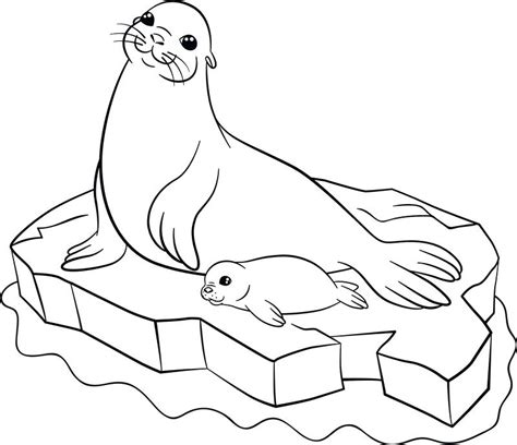 You can also your child to make some patterns like polka dots or triangles on the diagram. Harp Seal Coloring Page at GetColorings.com | Free ...