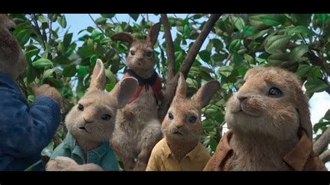 Bea, thomas, and the rabbits have created a makeshift family, but despite his best efforts, peter can't seem to shake his mischievous reputation. Petualangan Peter Rabbit (si kelinci nakal) film anak l ...