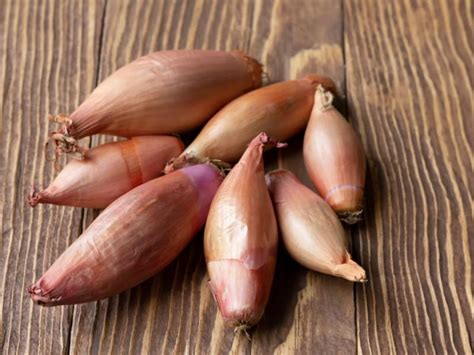Cebula szalotka warzywo - właściwości, witaminy i wartości odżywcze cebuli szalotki