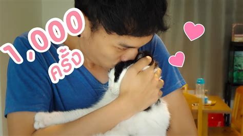 ในวันที่ 4 มิถุนายน ของทุกๆ ได้ถูกกำหนดให้เป็นวัน 'national hug your cat day' หรือวัน. ฉลองวันแมวโลกด้วยการจูบ 1,000 ที - YouTube