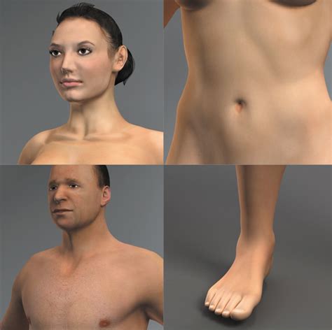 Initial models with solidworks free 3d model. DOSCH DESIGN - DOSCH 3D: Human Anatomy - Skin