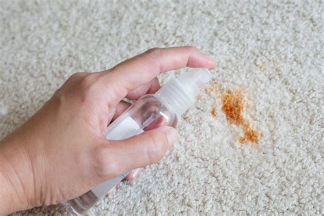 Then i found an article on this mystery cat urine smell issue and it turns out. How to Get Hot Sauce Out of Carpet (with Pictures) | eHow ...