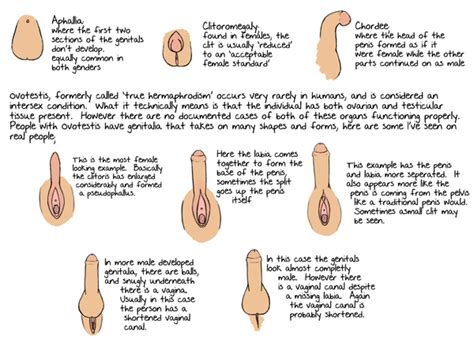 Of or relating to intersexuality intersex conditions also. What 'Intersex' is and Why the Olympic Committee Still Insists on Doing Sex-Testing on Female ...