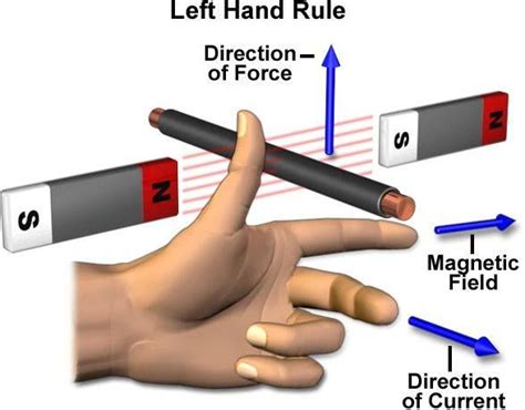 Let's explore how to use our left hand to remember the direction of magnetic forces on current carrying wires. Fleming Left Hand Rule. in 2019 | Electronics basics ...