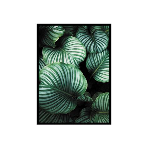 Tropical rainforests cover about 7% of the earth's surface and are very important to the earth's ecosystem. Tropical Jungle Leaves Print, Printable Tropical Leaves ...