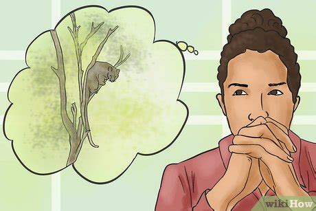 How to keep possums away from your garden. 4 Ways to Deter Possums from Your Garden - wikiHow