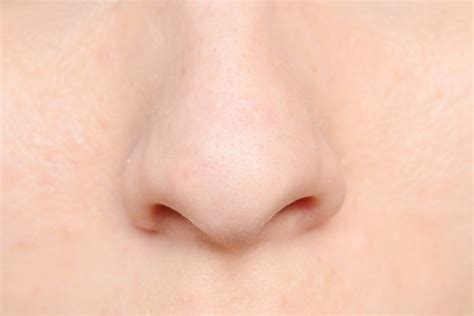 These opens in nasal chamber. How to Get Rid of Veins on Your Nose | LEAFtv