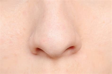 👇 watch collection of natural beauty and health recipes. How to Get Rid of Veins on Your Nose | LEAFtv