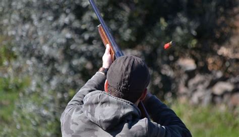 20,713 likes · 2,484 talking about this. Proença-a-Nova: Largada de perdizes, faisões e patos junta ...