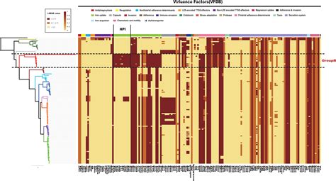 Intensified studies on bacterial pathogenesis have please type a message to the paper's authors to explain your need for the paper. Frontiers | Comparative Genomic Analysis of Citrobacter ...