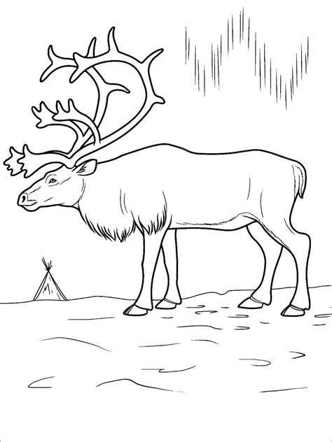 Realistic images of wild animals and mythical carousel favorites are more intricate. Arctic Animals Coloring Pages - ColoringBay