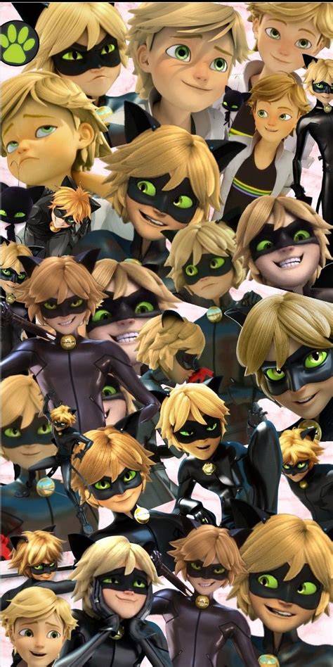 Maybe you would like to learn more about one of these? chatnoir collage | Miraculous ladybug movie, Miraculous ...