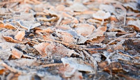 Podría haber tormentas eléctricas el jueves 24 en la previa de navidad. ¡Clima bajo cero! El estado del tiempo este jueves en ...