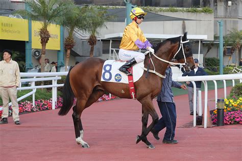 February 24, 2014 · sha tin, hong kong ·. 告東尼馬房三駒強襲香港經典盃 - 賽馬新聞 - 香港賽馬會