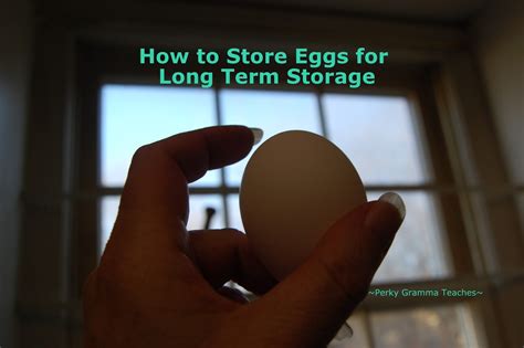 Eggs that are frozen or dehydrated will last up to one year when stored properly. Perky Prepping Gramma: How to Store Eggs With Mineral Oil...