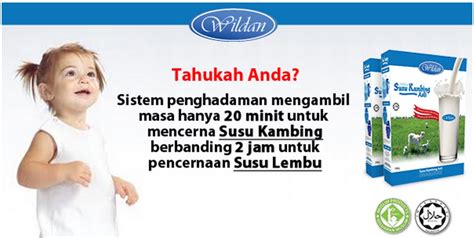 310,812 likes · 556 talking about this · 167 were here. MOTHERS FIRST CHOICE: WILDAN SUSU KAMBING 100% ASLI