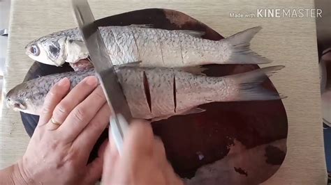 Ikan kembung memang sedap kalau resepi ikan tuna masak kicap. Resepi Ikan Masak Kicap & Tausi - YouTube