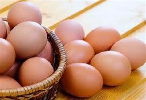Ayam potong atau ayam broiler sudah bisa anda panen jika berat dagingnya sudah mencapai sekitar 2 kg. INFO HARGA TELUR AYAM RAS HARI INI. SELASA, 28 JULI 2015