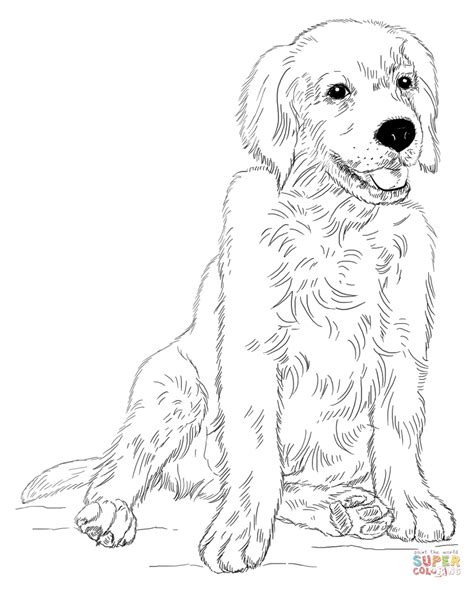 Перевод не получился по техническим причинам. Golden Retriever Puppies Coloring Pages - Coloring Home