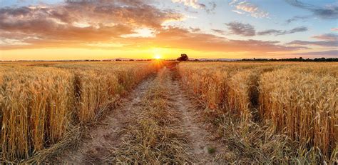 Alles, was braun ist, sind berge. Slowakei-Landschaft - Sommerbergpanorama - Nizza Dorf O ...