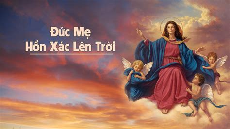 Only about 1 million doses from this deal have reached việt nam so far, tức là gần 1 triệu liệu pfizer đã về việt nam trong hợp đồng đã ký 31 triệu liều. SUY NIỆM LỄ ĐỨC MẸ LÊN TRỜI 15/8