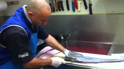 Check spelling or type a new query. Filleting a blue grenadier - YouTube