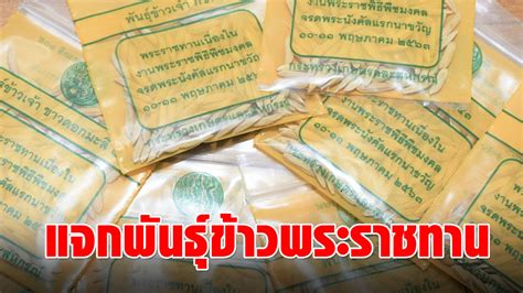 วันพืชมงคล วันพืชมงคล เป นวนสัําคัญที่กําหนดข ึ้นเพื่อระลึกถึงความส ําคัญของเกษตรกรท ี่มี. กรมการข้าว เตรียมแจก 5 พันธุ์ข้าวพระราชทาน เนื่องในวันพืช ...