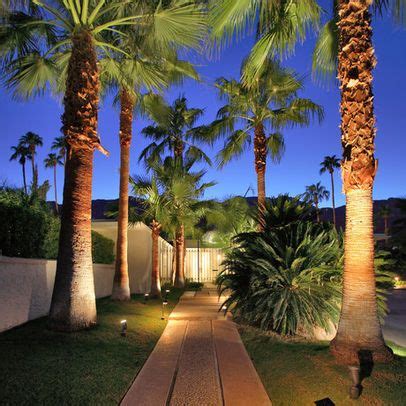 Whether it's something to enhance the beauty of an outdoor 3. Palm Springs Modern - modern - landscape - los angeles ...