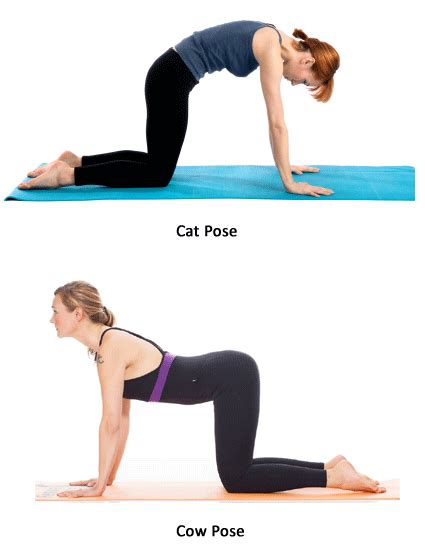 This is an excellent movement to do throughout pregnancy. Is it Safe to Practice Yoga during Pregnancy? | Life in ...