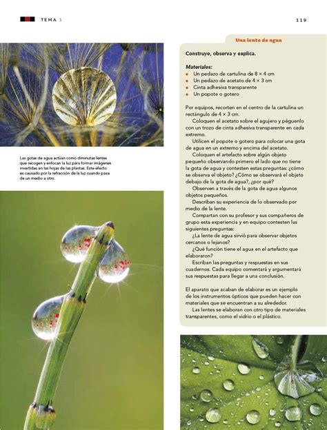 Encuentra todos tus libros de texto de la sep para que los puedas ver desde tu compu texto de ciencias naturales de sexto grado 2016 libro de ciencias naturales 6 grado 2019 2020 detalle. Ciencias Naturales sexto grado 2017-2018 - Página 119 de ...