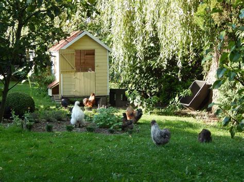 Es stehen dir bungalows und zimmer in unserem hotel zur verfügung. https://www.airbnb.de/rooms/13580550 | Haus am see, Haus ...