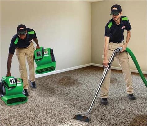 Is Professional Carpet Cleaning Worth It? | SERVPRO of ...