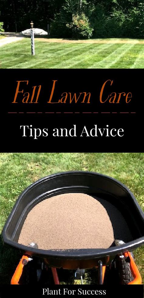 Specific fall lawn care can change depending on what type of grass is predominant in your lawn. Fall Lawn Care Tips and Advice | Fall lawn care, Fall lawn ...