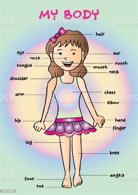 Body parts of woman name with picture : My Body Educational Info Graphic Chart For Kids Showing Parts Of Human Body Of A Cute Cartoon ...