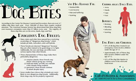 Your dog bites someone and his rabies vaccinations are out of date. will he lose his head? Dog Bite Injuries and the Dangers Dog Bites Pose | d ...