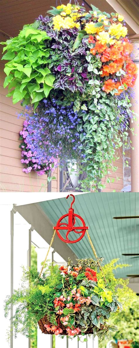 Plants will try to cool themselves by transferring water to their leaves. How to Plant Beautiful Flower Hanging Baskets ( & 20+ Best ...