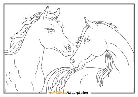 Opzoek naar een kleurplaat van een paard? Paarden Logo Kleurplaat