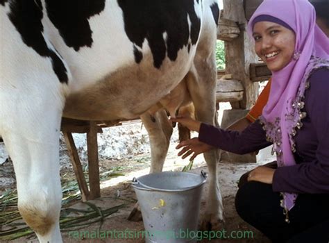 We did not find results for: 10 Arti Mimpi Lihat Orang Memerah Susu Sapi Menurut ...