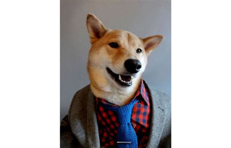 Add tags to refine results. This Menswear Dog Tumblr Shows Off How Doggy Style is ...