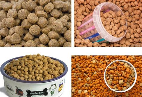 King kanine doral, florida united states king kanine is a holistic pet supplier and manufacturer of pet cbd and all natural products. China Dry Pet Food Processing Line Manufactures, Suppliers ...